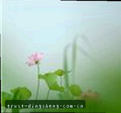 孙涛
