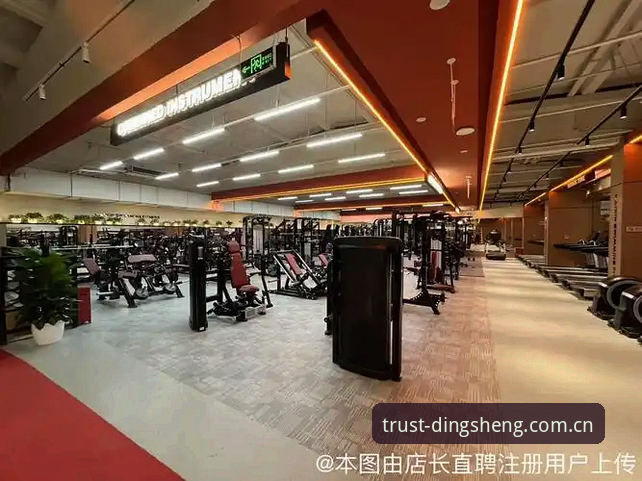 鼎盛体育官网注册教程全面评测：2024哪个方法更高效？